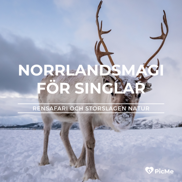 Norrlandsmagi – Upplev ett vinterland - Bild 3